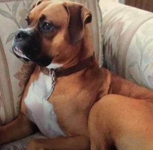 Meet your Posher, Catherine